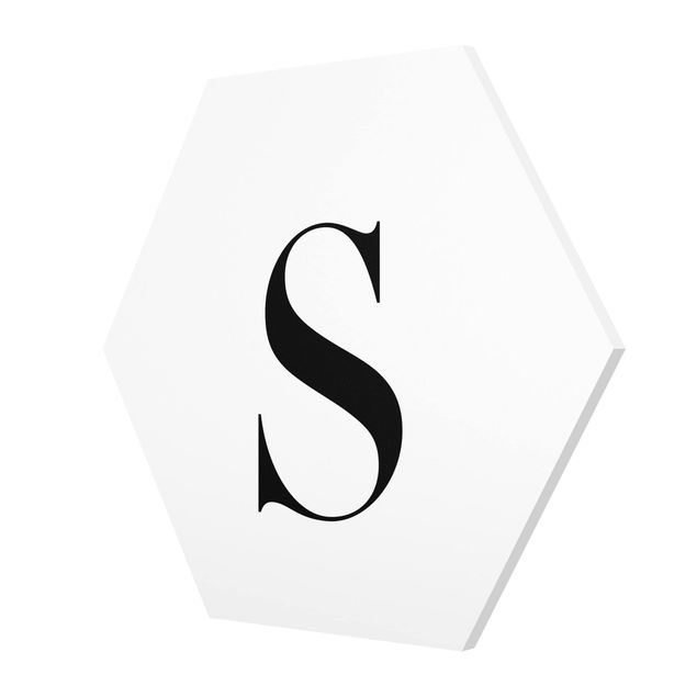 cuadro hexagonal Letter Serif White S