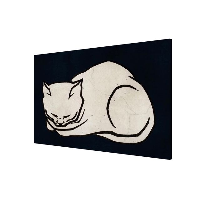 Tableros magnéticos animales Sleeping Cat Illustration