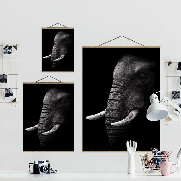 Cuadros decorativos modernos Dark Elephant Portrait