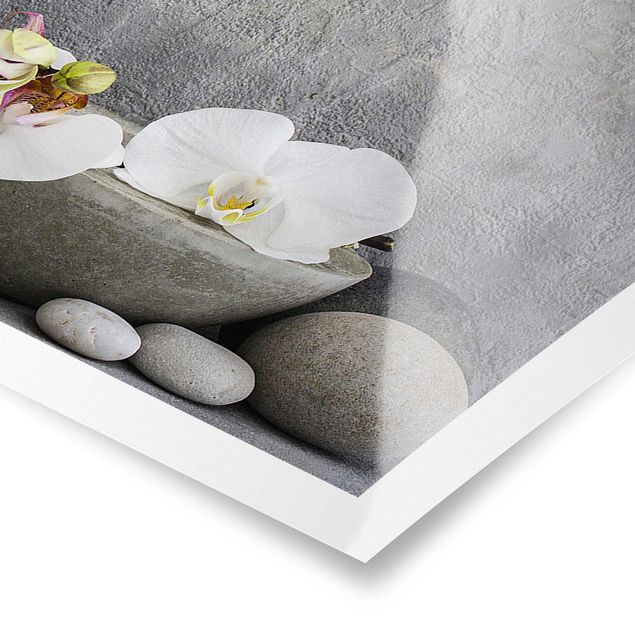 Cuadro gris Zen Buddha With White Orchids