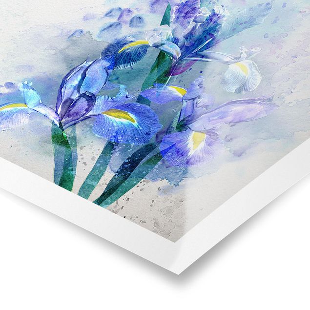 Cuadro azul Watercolour Flowers Iris