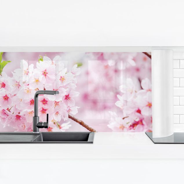Láminas de vinilo Japanese Cherry Blossoms