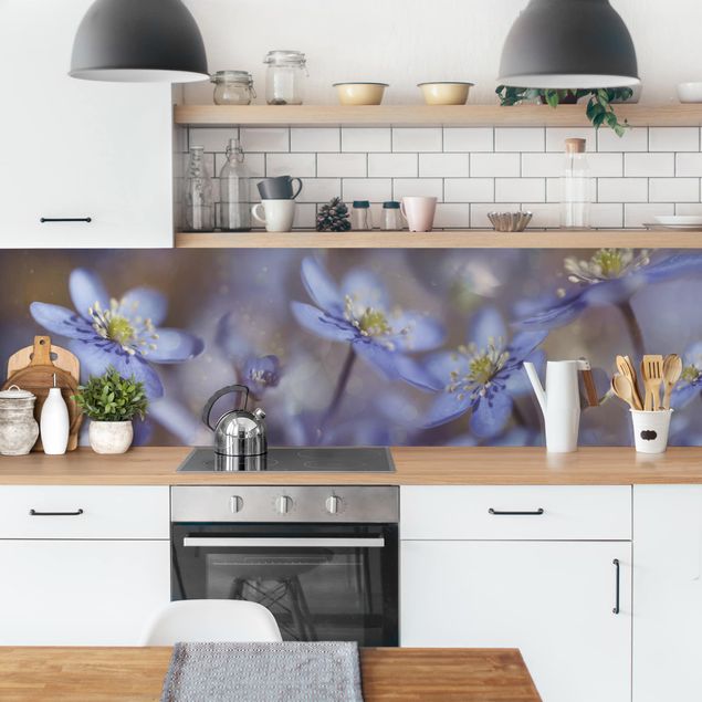 Salpicadero cocina adhesivo flores Anemone In Blue