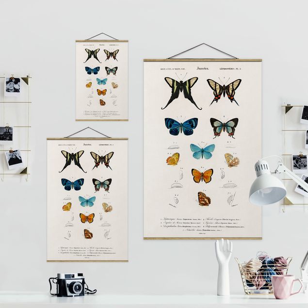 Cuadros azules Vintage Board Butterflies I
