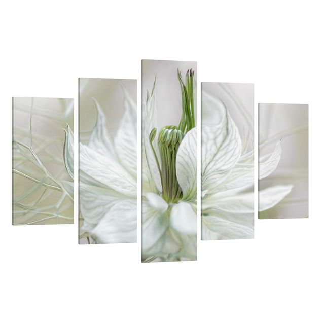 Lienzos flores White Nigella