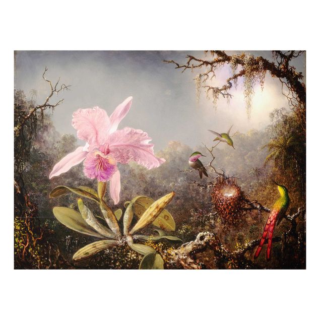 Decoración cocina Martin Johnson Heade - Orchid And Three Hummingbirds