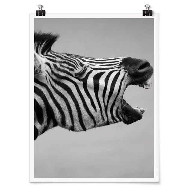 Láminas animales Roaring Zebra ll
