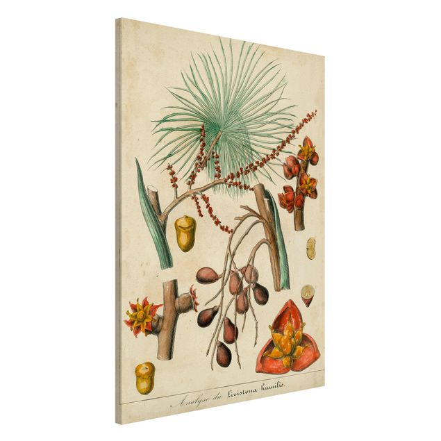 Decoración cocina Vintage Board Exotic Palms III