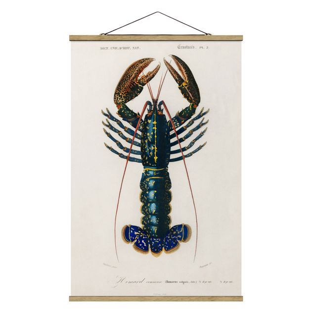 Cuadros infantiles animales Vintage Board Blue Lobster