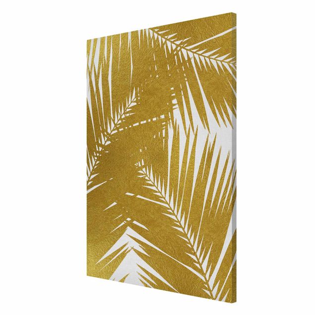 Tableros magnéticos flores View Through Golden Palm Leaves