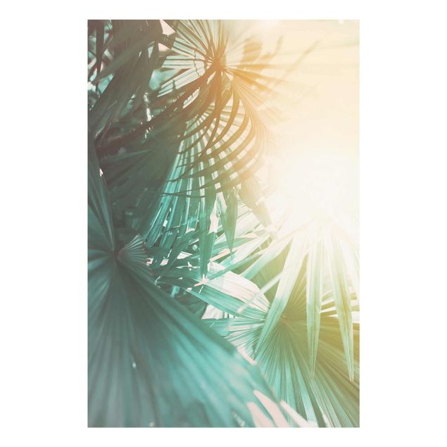Cuadros de plantas Tropical Plants Palm Trees At Sunset
