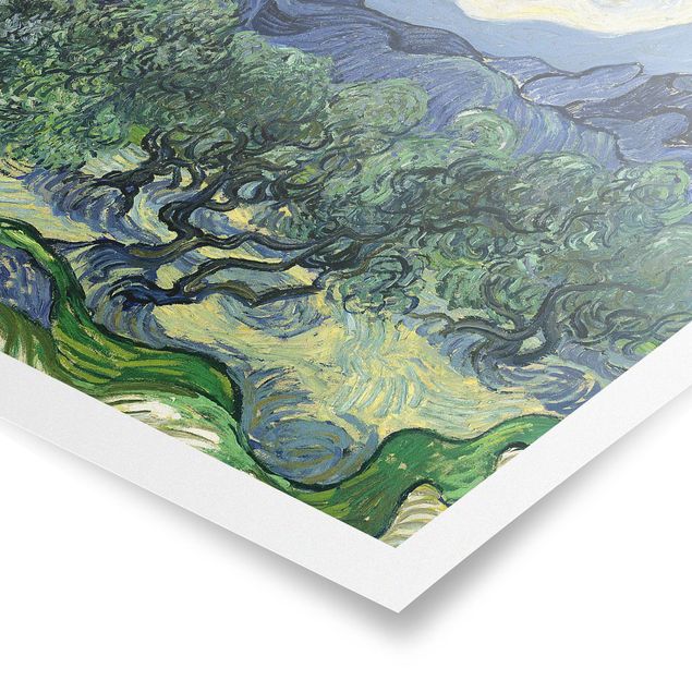 Reproducciones de cuadros Vincent Van Gogh - Olive Trees
