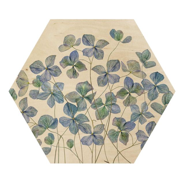 Hexagon Bild Holz - Blaue Hortensienblüten