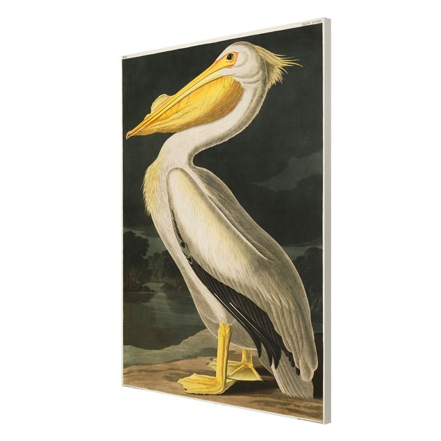 Cuadros retro vintage Vintage Board White Pelican