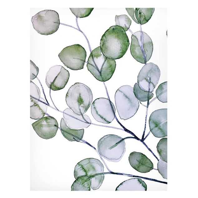 Tableros magnéticos flores Green Watercolour Eucalyptus Branch