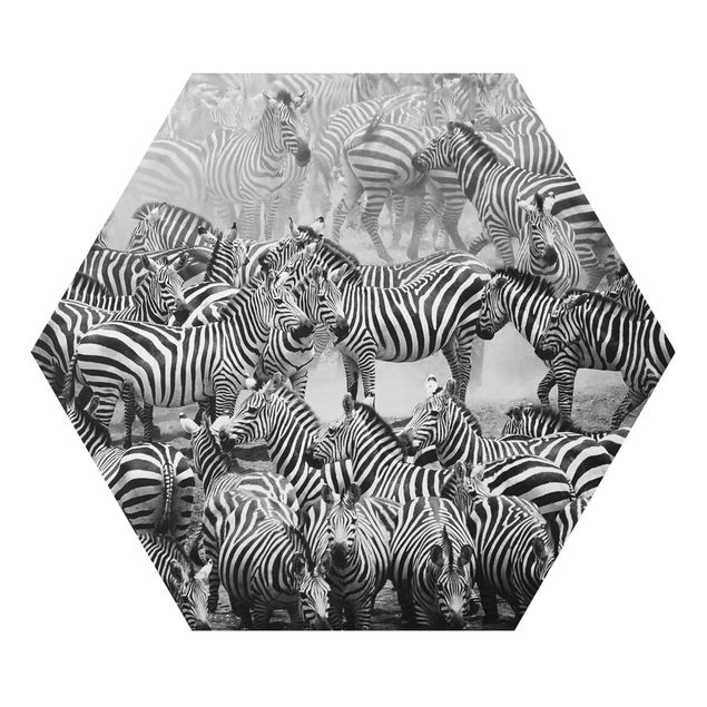 Cuadros de animales Zebra herd II