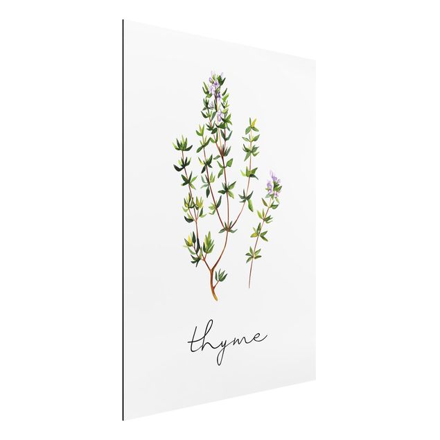 Decoración de cocinas Herbs Illustration Thyme