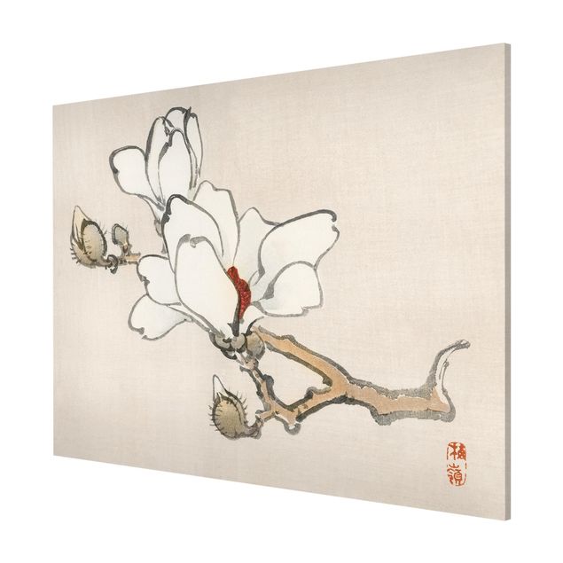 Cuadros de plantas Asian Vintage Drawing White Magnolia