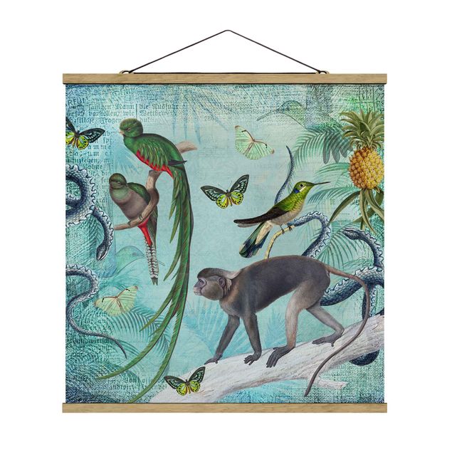 Cuadros de flores Colonial Style Collage - Monkeys And Birds Of Paradise