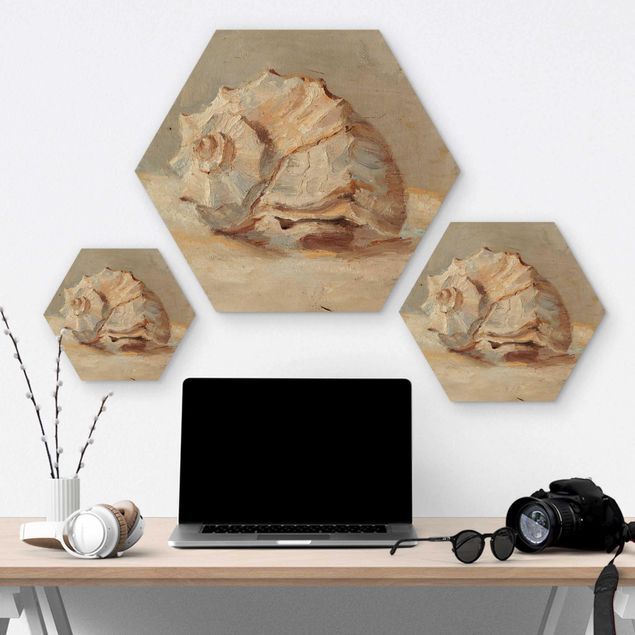 Hexagon Bild Holz - Muschel-Studie II