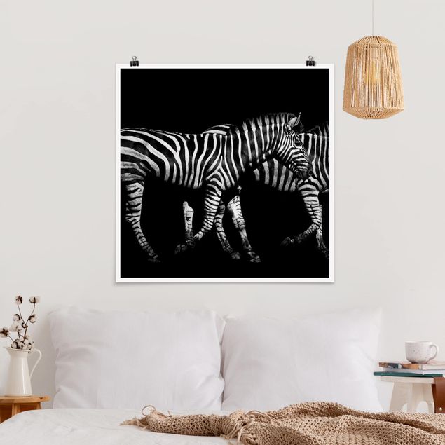 Cuadros de cebras Zebra In The Dark