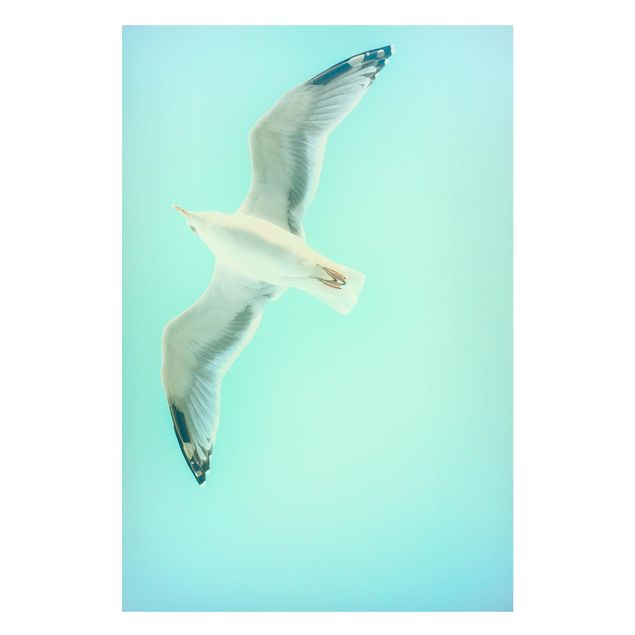 Tableros magnéticos animales Blue Sky With Seagull