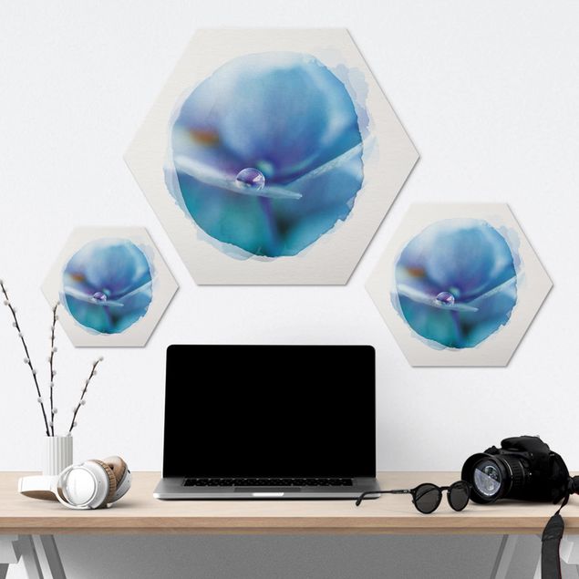 Hexagon Bild Alu-Dibond - Wasserfarben - Wassertropfen Hortensienblüte