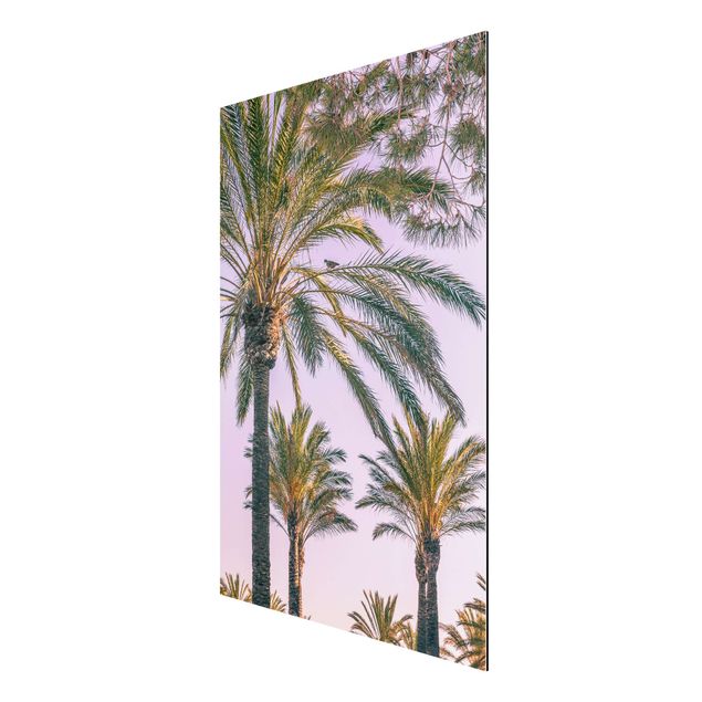Cuadros de plantas naturales Palm Trees At Sunset