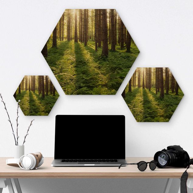 Hexagon Bild Holz - Sonnenstrahlen in grünem Wald