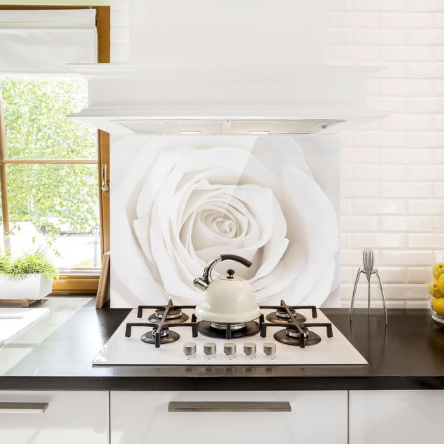 Pretty White Rose panel antisalpicaduras cocina formato horizontal