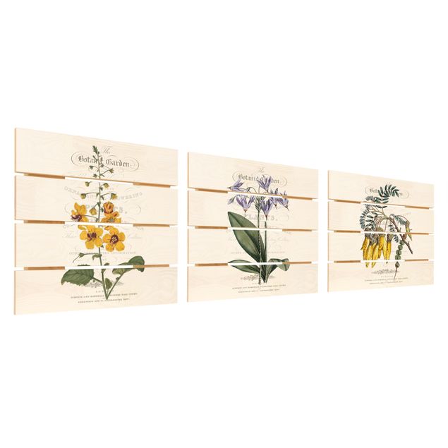 Cuadros de madera Botanical Tableau Set I