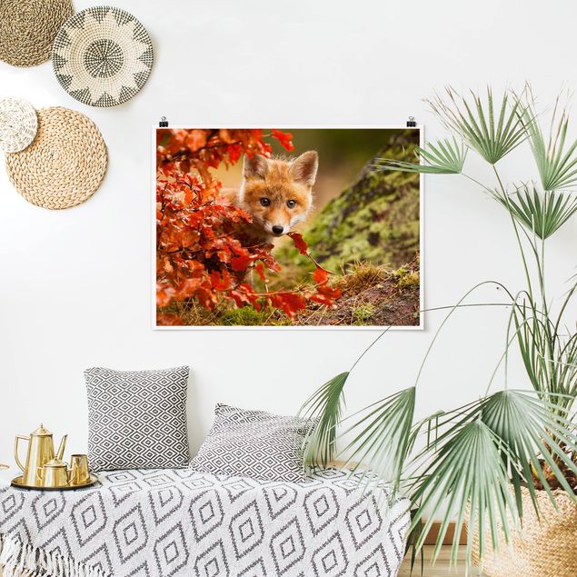 Cuadros de árboles para salón Fox In Autumn