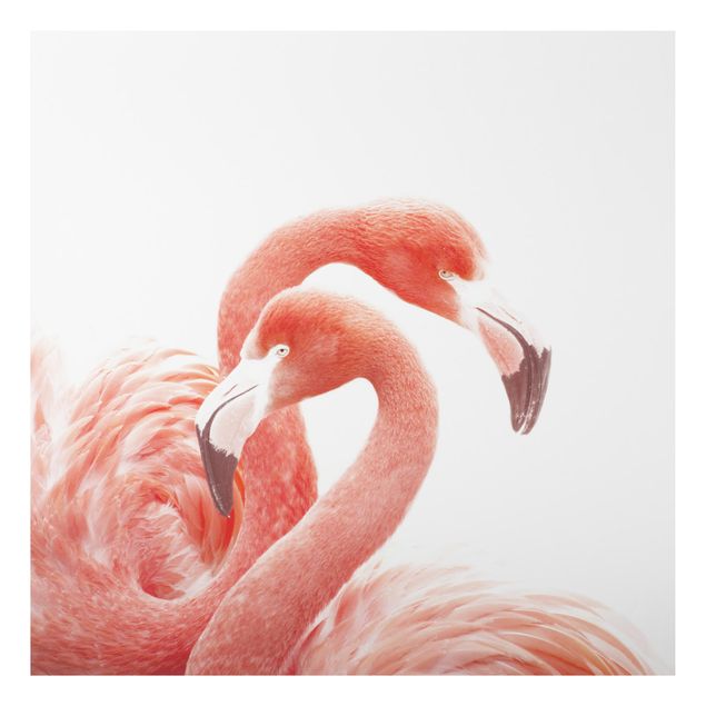 Cuadros plumas Two Flamingos