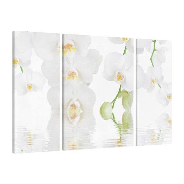 Lienzos de flores Spa Orchid - White Orchid