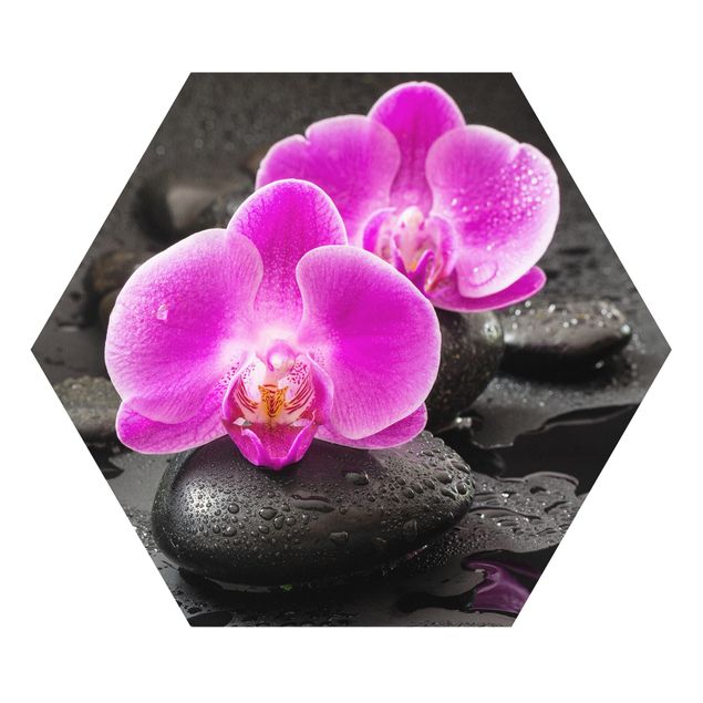 Láminas de cuadros famosos Pink Orchid Flowers On Stones With Drops