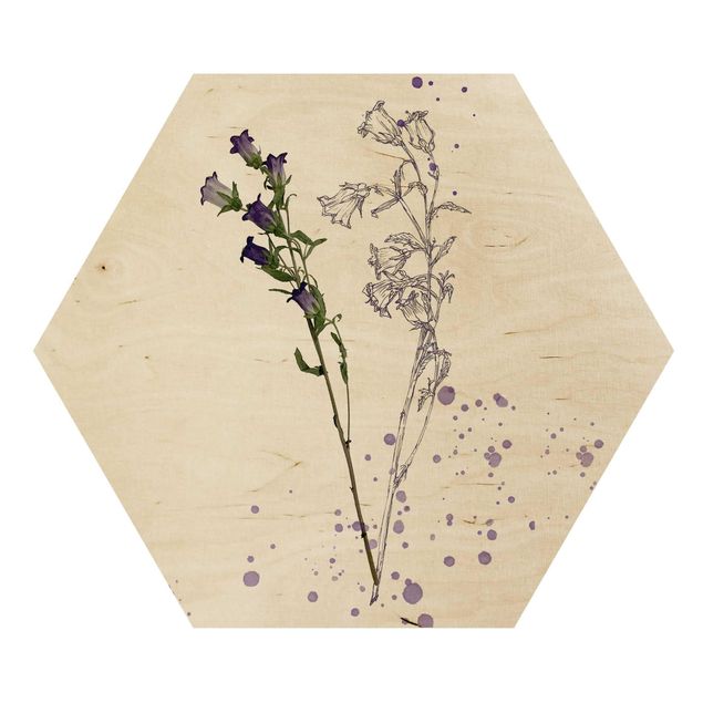 cuadro hexagonal Botanical Watercolour - Bellflower