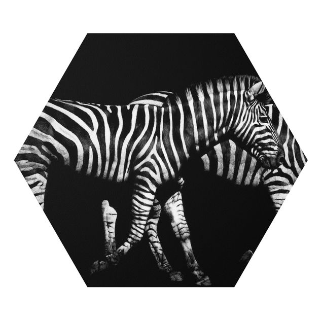 Cuadros a blanco y negro Zebra In The Dark