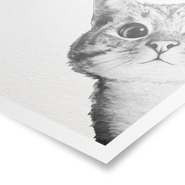 Póster de cuadros famosos Illustration Cat Drawing Black And White