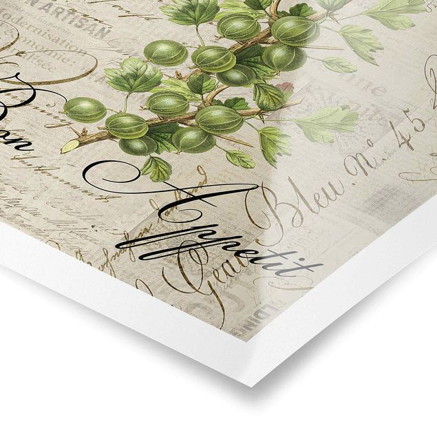 Cuadros Haase Shabby Chic Collage - Gooseberry