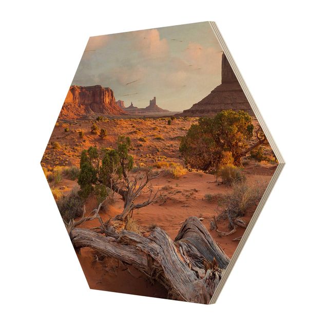 Cuadros hexagonales Monument Valley Navajo Tribal Park Arizona