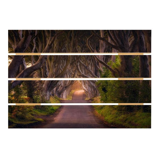 cuadros de madera decorativos Tunnel Of Trees
