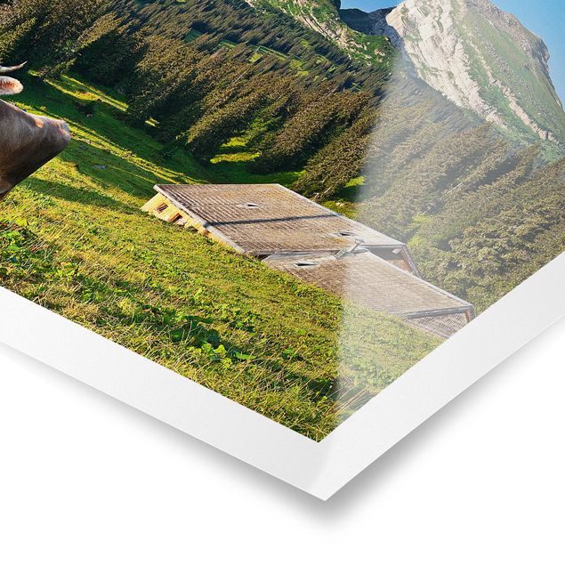 Póster paisaje Swiss Alpine Meadow With Cow