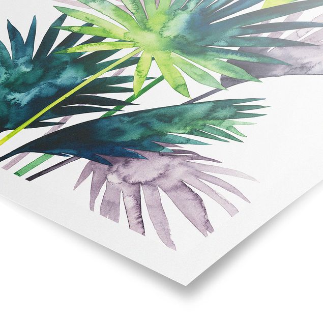 Cuadros tonos verdes Exotic Foliage - Fan Palm