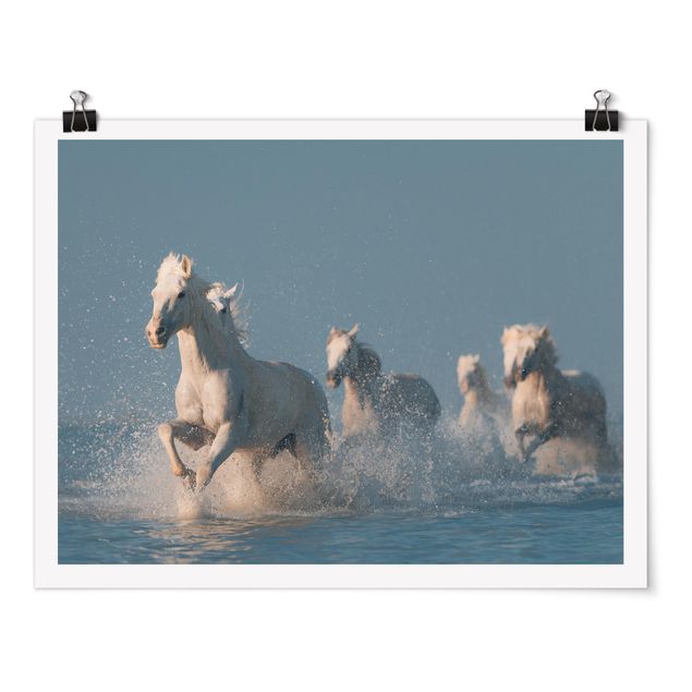 Cuadros decorativos modernos Herd Of White Horses