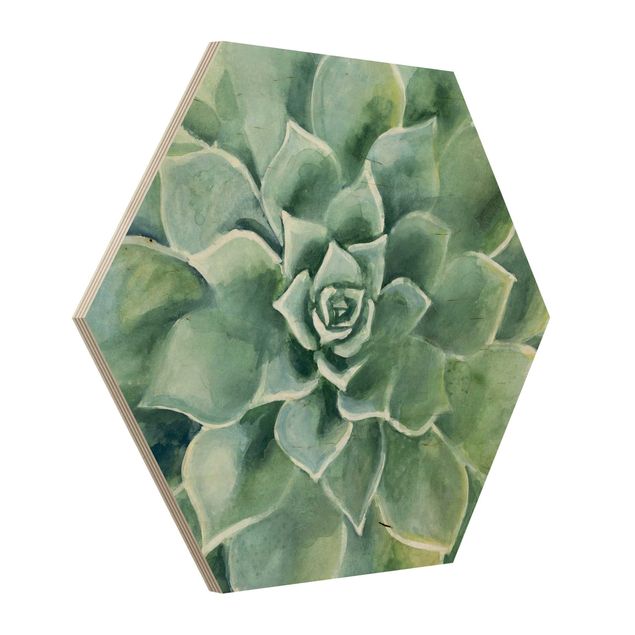 cuadro hexagonal Succulent Plant Watercolour Dark