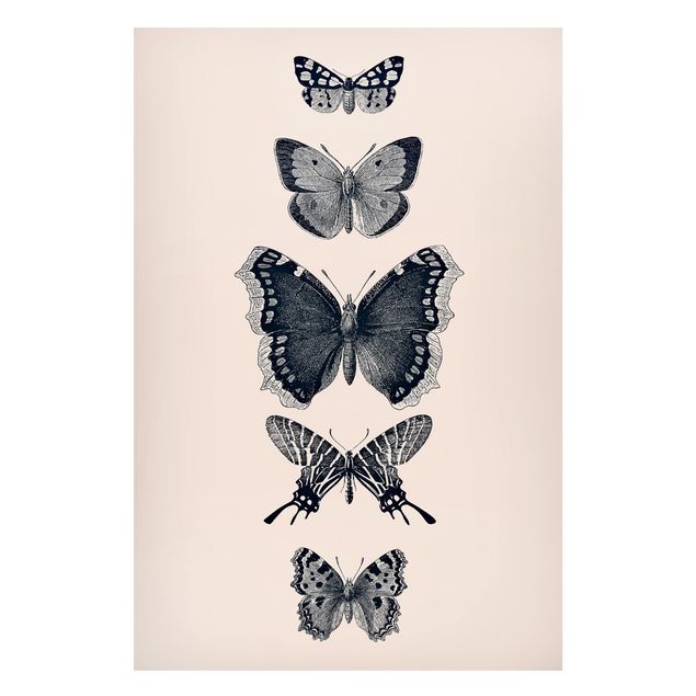 Cuadros de mariposas modernos Ink Butterflies On Beige Backdrop