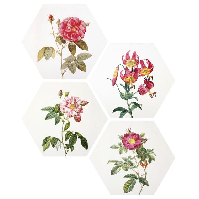 Cuadros de plantas Pierre Joseph Redoute - Roses And Lilies