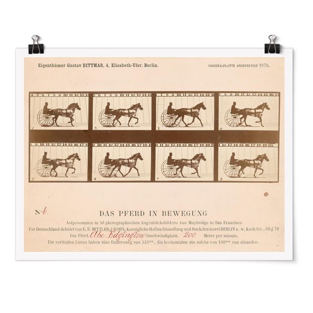 Estilos artísticos Eadweard Muybridge - The horse in Motion