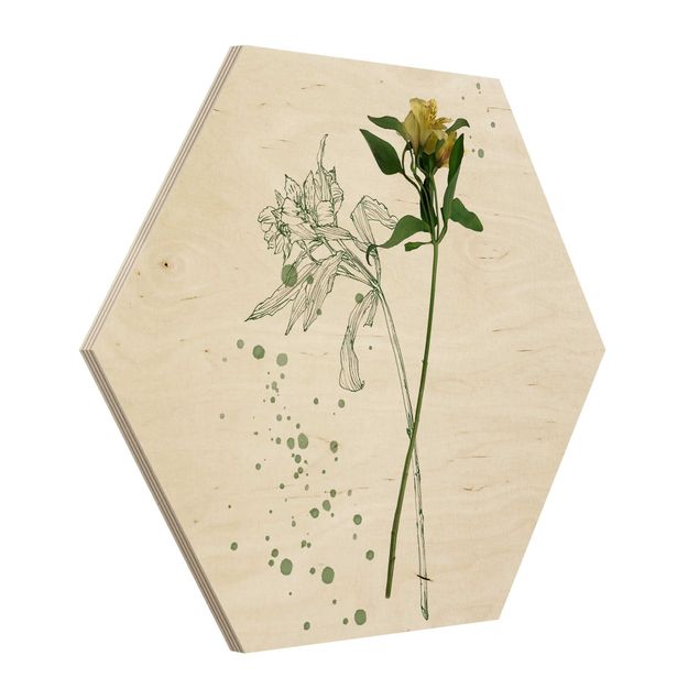 cuadro hexagonal Botanical Watercolour - Lily