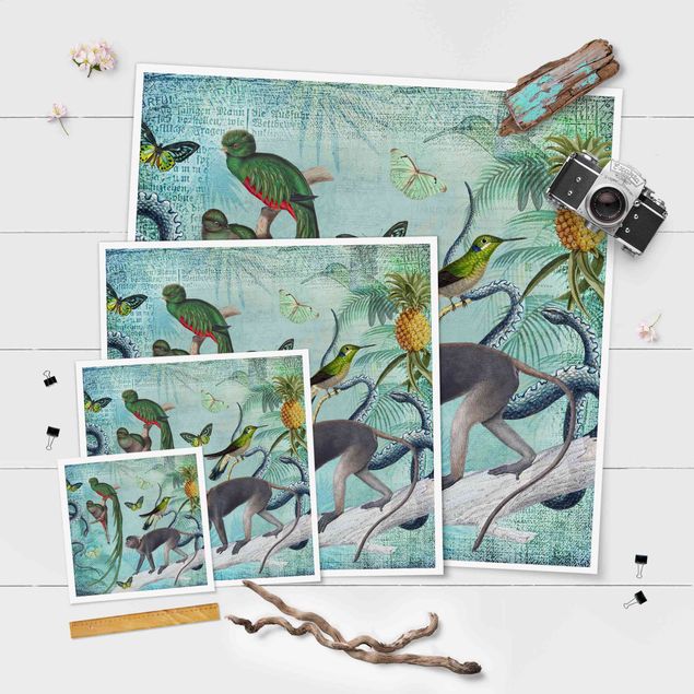 Cuadros modernos Colonial Style Collage - Monkeys And Birds Of Paradise